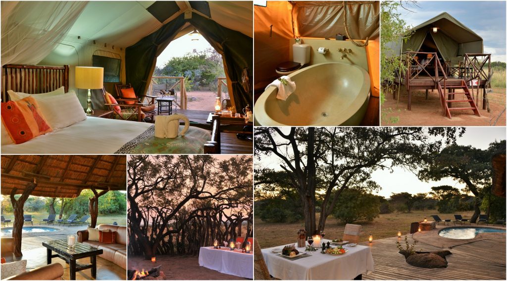 Kwafubesi Tented Safari Camp Special — 2 Nights in Waterberg, Limpopo