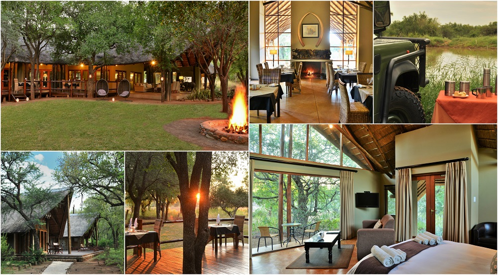 Black Rhino Game Lodge Special – 2 Nights in the Pilanesberg National Park