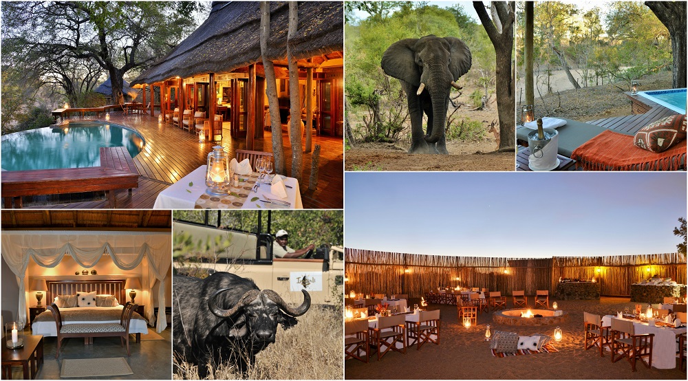 Imbali Safari Lodge Special – 2 Nights in the Kruger National Park