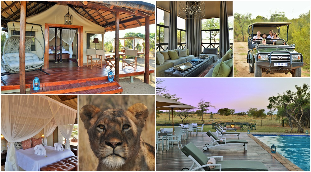 Safari Plains Special – 2 Nights in Waterberg, Limpopo