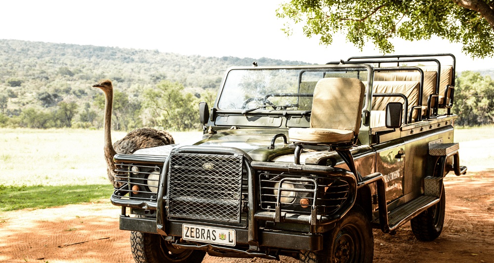 Zebras Crossing Very Private Bush Lodge Special – 2 Nights in Waterberg, Limpopo